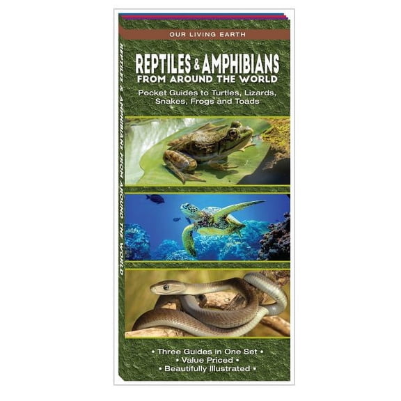 Wildlife and Nature Identification: Reptiles & Amphibians From Around the World : Pocket Guides to Turtles, Lizards, Snakes, Frogs and Toads (Mixed media product)
