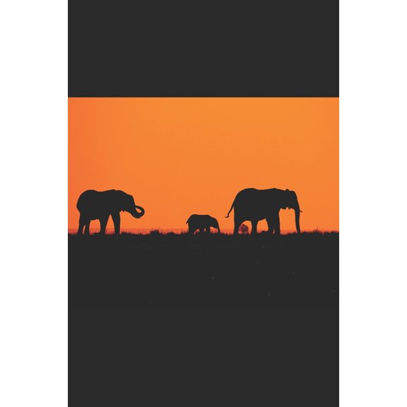 Wildlife & Nature Travel : A Guide to Responsible and Ethical Adventures (Paperback)