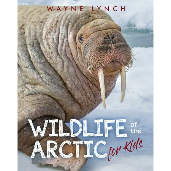 Wildlife of the Arctic for Kids (Paperback)