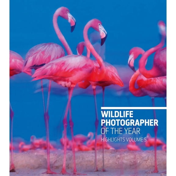Wildlife Photographer of the Year Wildlife Photographer of the Year: Highlights Volume 5, (Paperback)