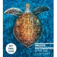 thumbnail image 1 of Wildlife Photographer of the Year Wildlife Photographer of the Year: Highlights Volume 6: Volume 6, (Paperback), 1 of 1