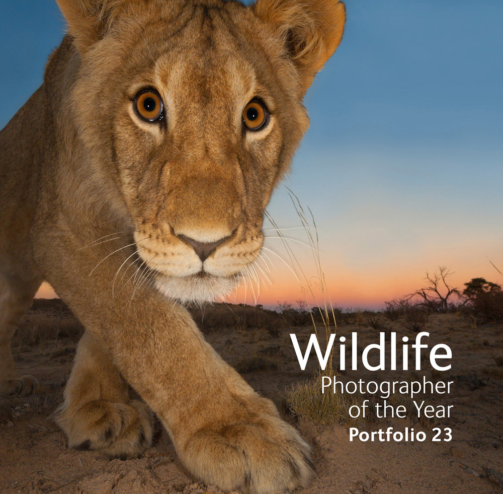 写真集 Wildlife Photographer of the Year 6冊 15 enchanting images from the Wildlife Photographer of the