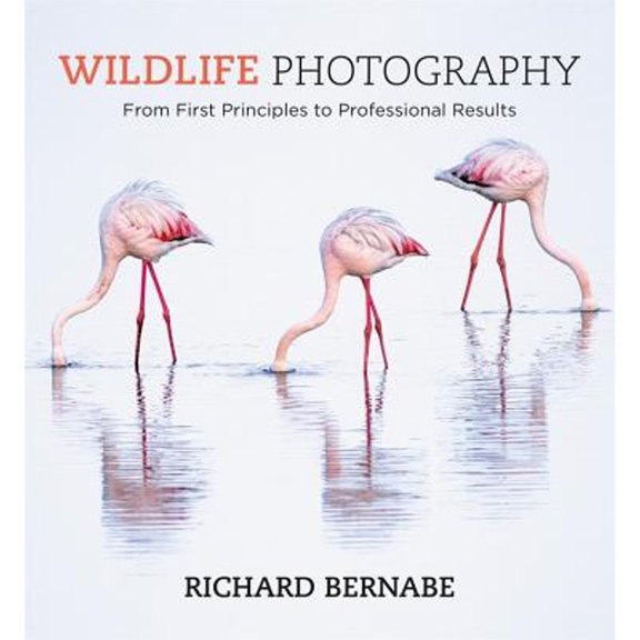 Pre-Owned Wildlife Photography: An Expert Guide (Paperback) 1781575126 9781781575123