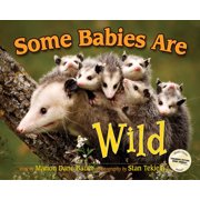 Wildlife Picture Books Some Babies Are Wild, Hardcover