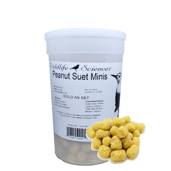 Wildlife Sciences Peanut Suet Minis I Wild Bird Food | Suet Mini Nugget Pieces for Wild Birds