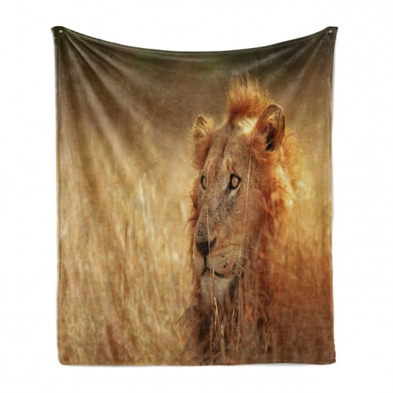Wildlife Soft Flannel Fleece Blanket, Big Male Lion Leo Laying Resting in Dense Grass Field Dangerous Carnivore Predator, Cozy Plush for Indoor and Outdoor Use, 50" x 70", Multicolor, by Ambesonne