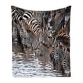 thumbnail image 1 of Wildlife Soft Flannel Fleece Blanket, Herd of Zebras and Wildebeest Drinking Water in Serengeti Tanzania Picture, Cozy Plush for Indoor and Outdoor Use, 70" x 90", White Black Brown, by Ambesonne, 1 of 5