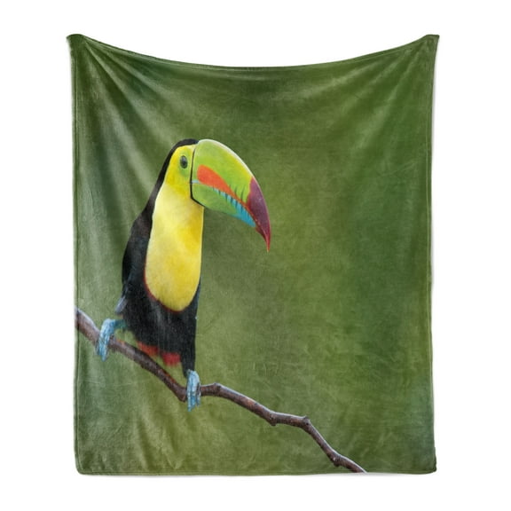 Wildlife Soft Flannel Fleece Blanket, Keel Billed Toucan Colorful on Branch Tree Rainforest Park Tropical Bird America, Cozy Plush for Indoor and Outdoor Use, 50" x 60", Multicolor, by Ambesonne