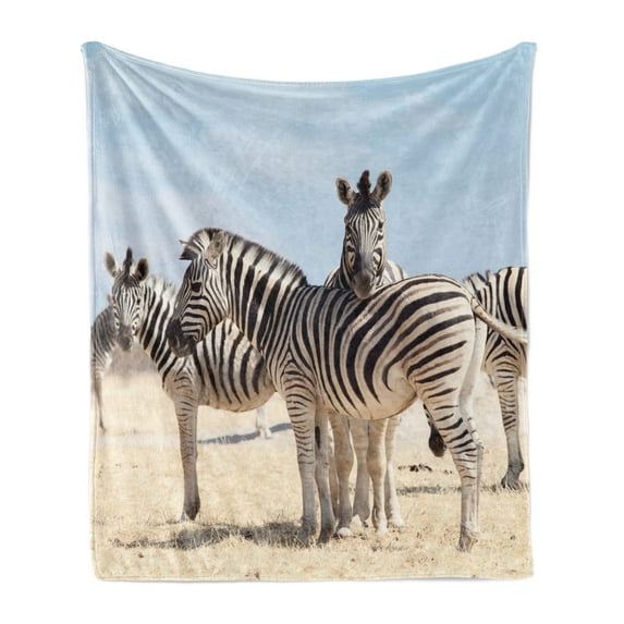 Wildlife Soft Flannel Fleece Throw Blanket, 3 Zebras in Namibia National Park Africa Savannah Safari Theme, Cozy Plush for Indoor and Outdoor Use, 60" x 80", Pale Blue Beige Black, by Ambesonne