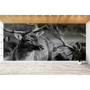Wildlife Wallpaper, Deer Wallpaper, Deer Wildlife Photo Print, Paper Wall Art, 3D Wallpaper, Modern Wallpaper, Animal Mural, Wallpaper (Fabric Non-Woven)