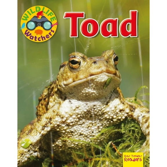 Wildlife Watchers: Toad (Paperback)