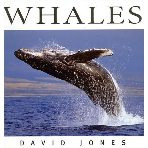 Wildlife: Whales (Hardcover)