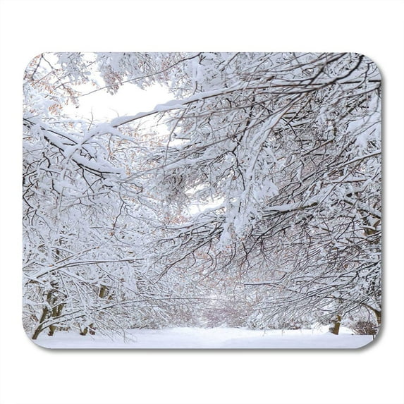 Wildlife Winter Forest Trees in The Snow Backwoods Morning Mousepad Mouse Pad Mouse Mat 9x10 inch