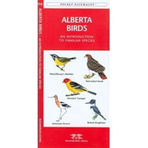 Wildlife and Nature Identification: Alberta Wildlife : A Folding Pocket Guide to Familiar Animals (Edition 2) (Other)