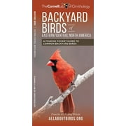 Wildlife and Nature Identification: Backyard Birds of Eastern/Central North America : A Folding Pocket Guide to Common Backyard Birds (Other)