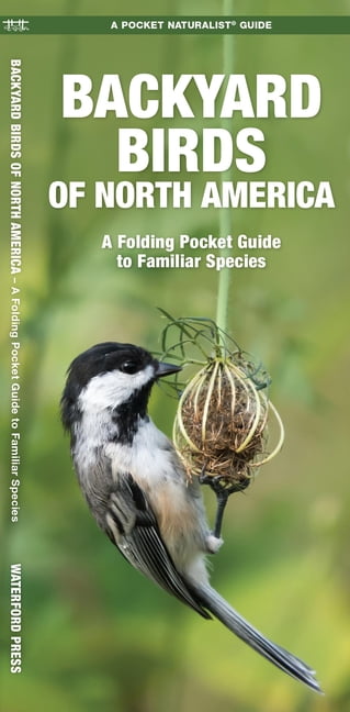 Backyard Birds of North America Pocket Guide with Laminated Cover