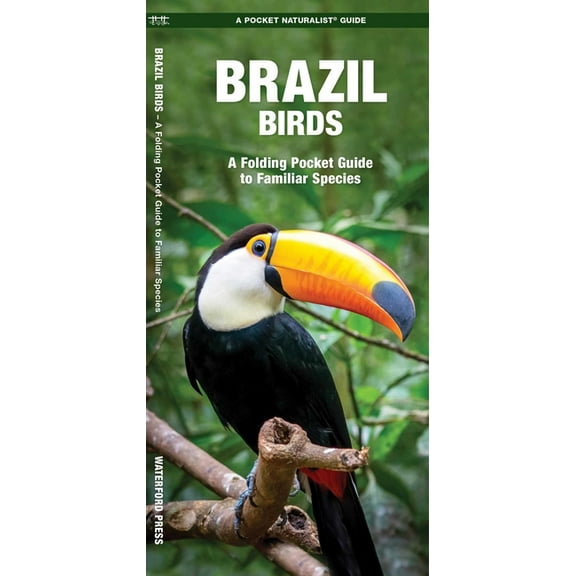Wildlife and Nature Identification: Brazil Birds : A Folding Pocket Guide to Familiar Species (Other)
