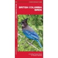thumbnail image 1 of Wildlife and Nature Identification: British Columbia Birds : A Folding Pocket Guide to Familiar Species (Edition 2) (Other), 1 of 1