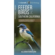 Wildlife and Nature Identification: Feeder Birds of Southern California : A Folding Pocket Guide to Common Backyard Birds (Other)