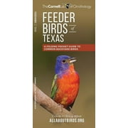 Wildlife and Nature Identification: Feeder Birds of Texas : A Folding Pocket Guide to Common Backyard Birds (Other)