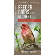 Wildlife and Nature Identification: Feeder Birds of the Midwest : A Folding Pocket Guide to Common Backyard Birds (Other)