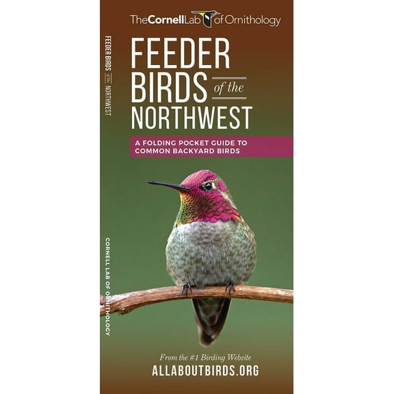 All about Birds Feeder Birds of the Northwest, (Paperback)