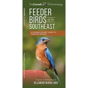 Wildlife and Nature Identification: Feeder Birds of the Southeast : A Folding Pocket Guide to Common Backyard Birds (Other)