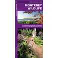 thumbnail image 1 of Wildlife and Nature Identification: Monterey Wildlife : A Folding Pocket Guide to Familiar Animals of the Monterey Peninsula (Other), 1 of 1