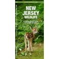 thumbnail image 1 of Nature Observation North America New Jersey Wildlife, (Paperback), 1 of 1