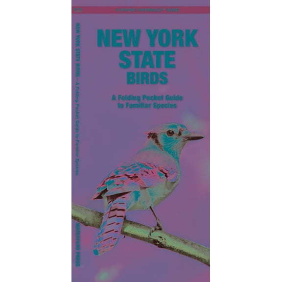 Wildlife and Nature Identification: New York State Birds : A Folding Pocket Guide to Familiar Species (Other)