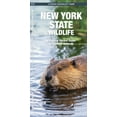 thumbnail image 1 of Wildlife and Nature Identification: New York State Wildlife : A Folding Pocket Guide to Familiar Animals (Other), 1 of 1