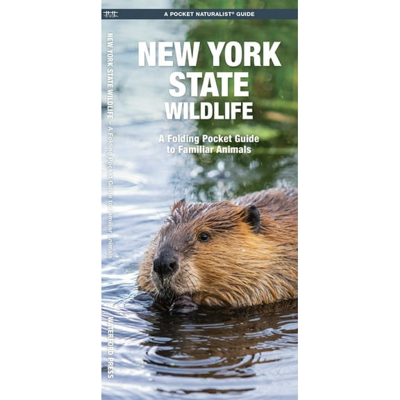 Wildlife and Nature Identification: New York State Wildlife : A Folding Pocket Guide to Familiar Animals (Other)