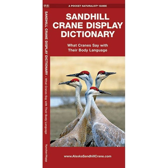 Wildlife and Nature Identification: Sandhill Crane Display Dictionary : What Cranes Say With Their Body Language (Edition 2) (Other)