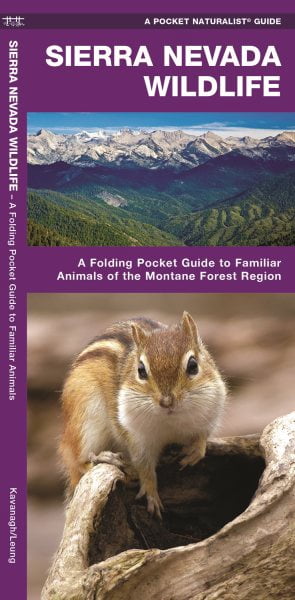 Wildlife and Nature Identification: Sierra Nevada Wildlife : A Folding