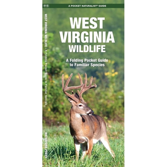 Wildlife and Nature Identification: West Virginia Wildlife : An Introduction to Familiar Species (Other)