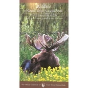 CHARLES CRAIGHEAD; HENRY H HOLDSWORTH Wildlife of Grand Teton National Park (Paperback) by Charles Craighead, Henry H Holdsworth