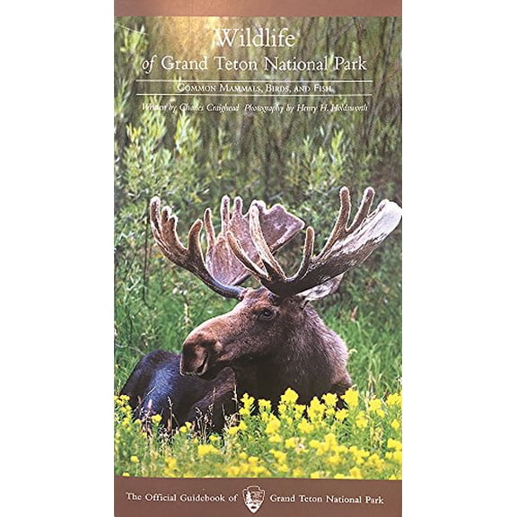 Pre-Owned Wildlife of Grand Teton National Park (Paperback) 0931895677 9780931895678