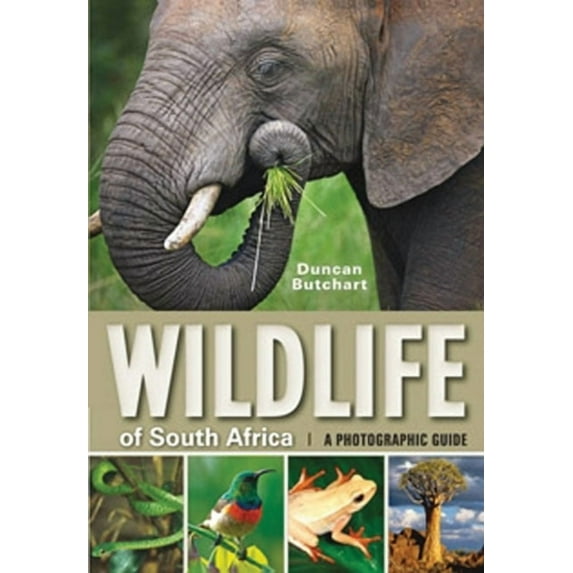 Wildlife of South Africa: A Photographic Guide (Paperback)