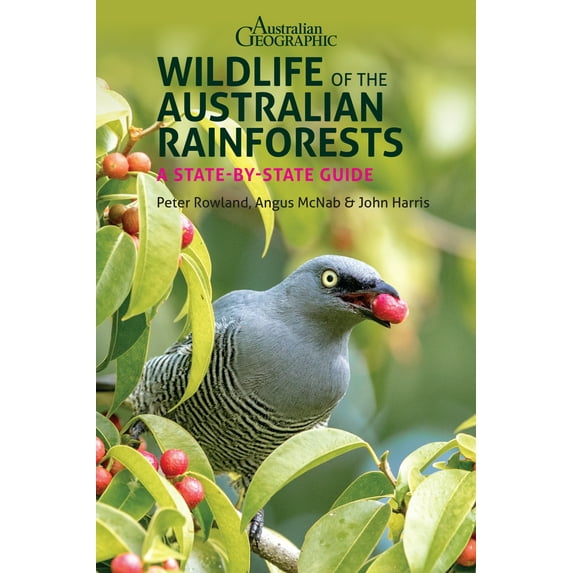 Wildlife of the Australian Rainforests : A State-by-State Guide (Paperback)