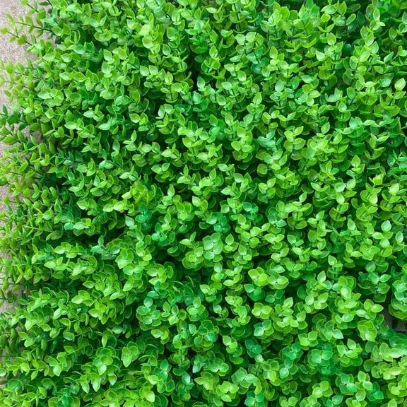 Wildnix Artificial Grass Wall Panel-High-Density PE Boxwood Hedge, 1.5" Thick, Easy to Install, Maintenance-Free, Ideal for Patios, Gardens, and Fencing Decoration