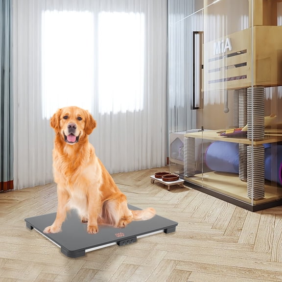 Wildnix Durable Shipping and Postal Scale – High Precision, 220 lbs Capacity, Suitable for Pets and Large Items
