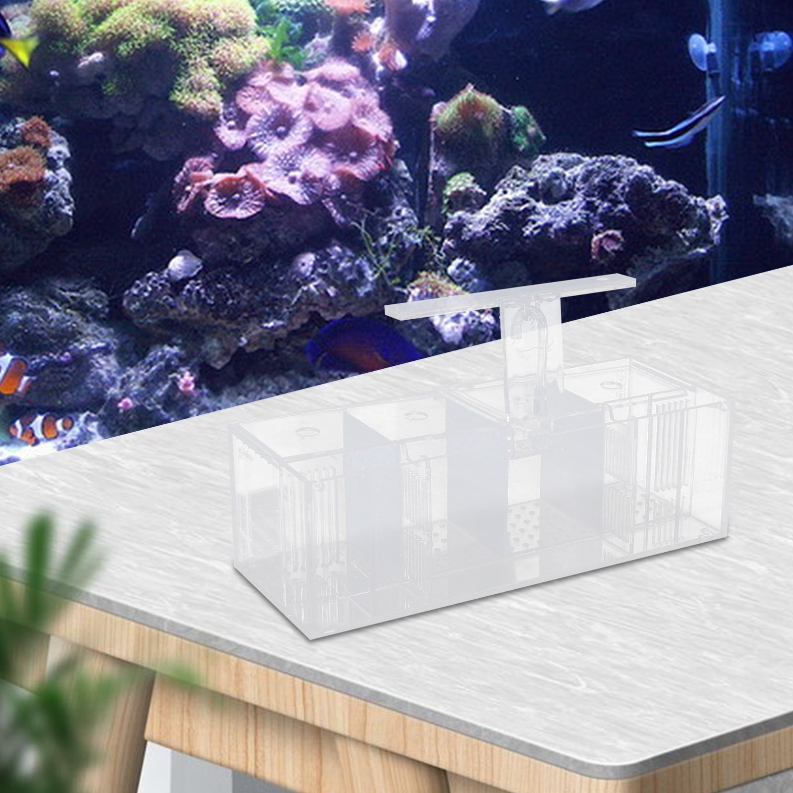 Curated visual reference: Gallery Detail: 4K Aquarium