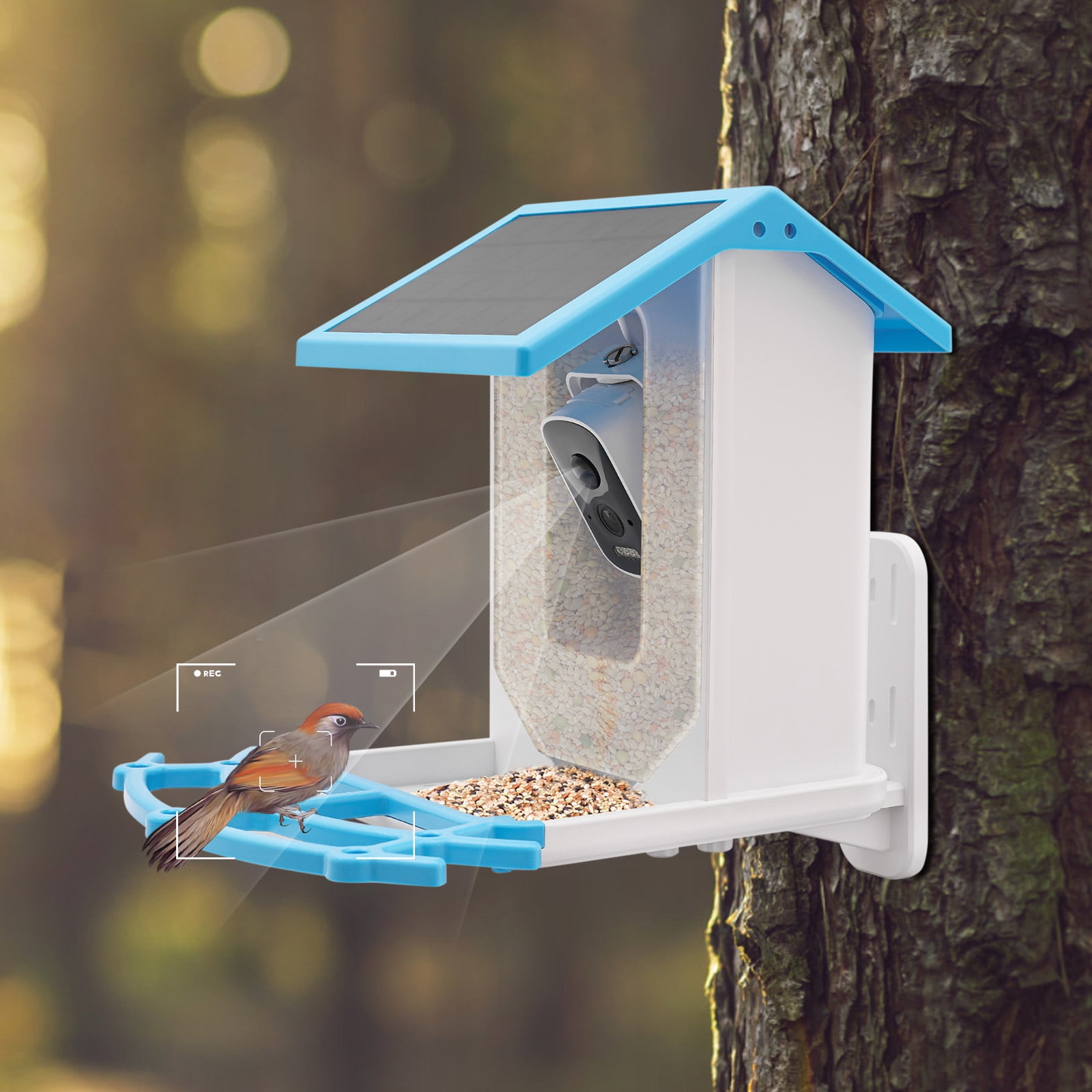 Wildnix Intelligent Bird Feeder with 4 Million Pixel HD Camera, Motion ...