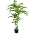 thumbnail image 1 of Wildon Home Palm Tree Plant, 1 of 2