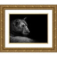 thumbnail image 1 of Wildphotoart 14x12 Gold Ornate Wood Framed with Double Matting Museum Art Print Titled - Lion, 1 of 4