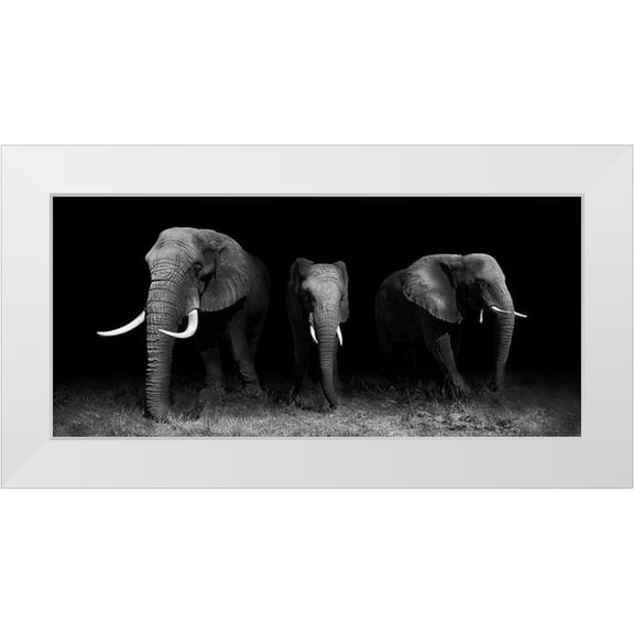 Wildphotoart 14x9 White Modern Wood Framed Museum Art Print Titled - Out Of The Darkness
