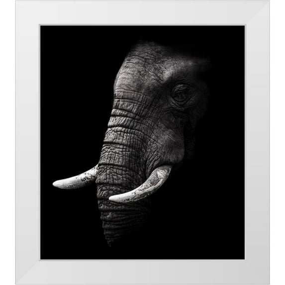 Wildphotoart 15x17 White Modern Wood Framed Museum Art Print Titled - Portrait
