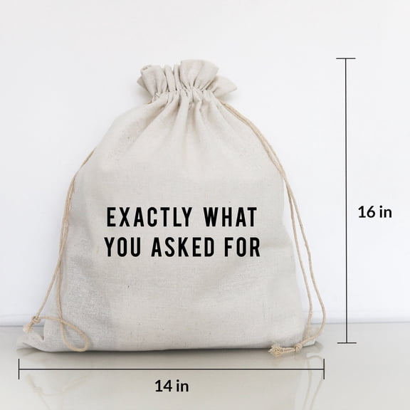 Wildwood Landing Gift Bag, Fun, 14" x 16" - Exactly What You Asked For