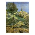 thumbnail image 1 of Wile E. Wood MWRB-1115 Whipplesmiths Rabbit Brush Wood Art - 11 x 15 in., 1 of 1