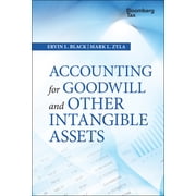Wiley Corporate F&a Accounting for Goodwill and Other Intangible Assets, Hardcover
